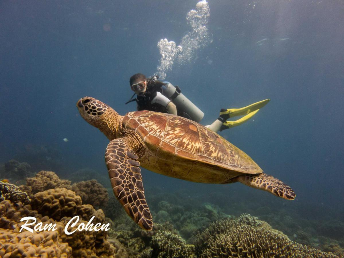 Lavanya Beach And Dive Resort Zamboanguita  Luaran gambar